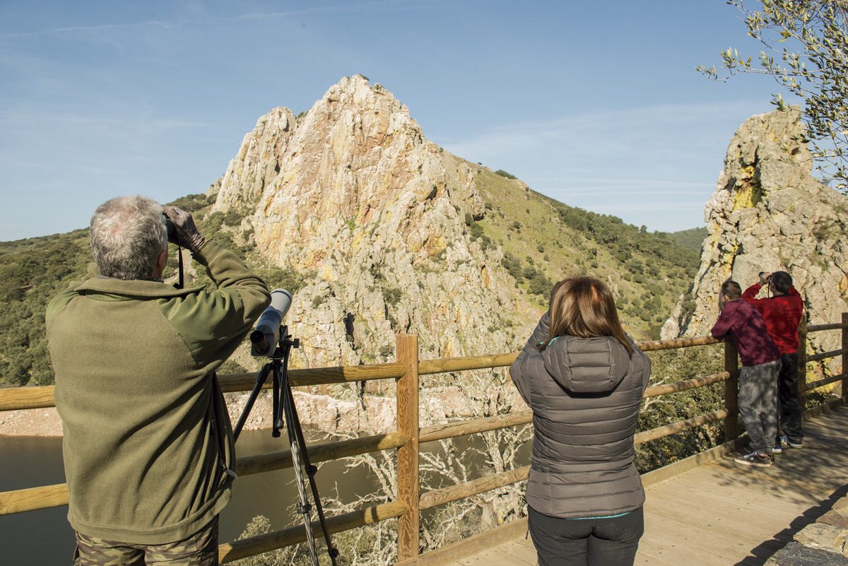 urban-birding-turismo