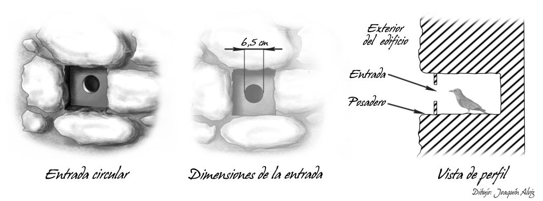 Adecuación mechinal circular