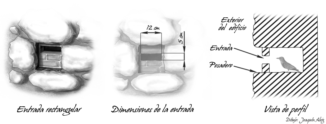 Adecuación mechinal rectangular