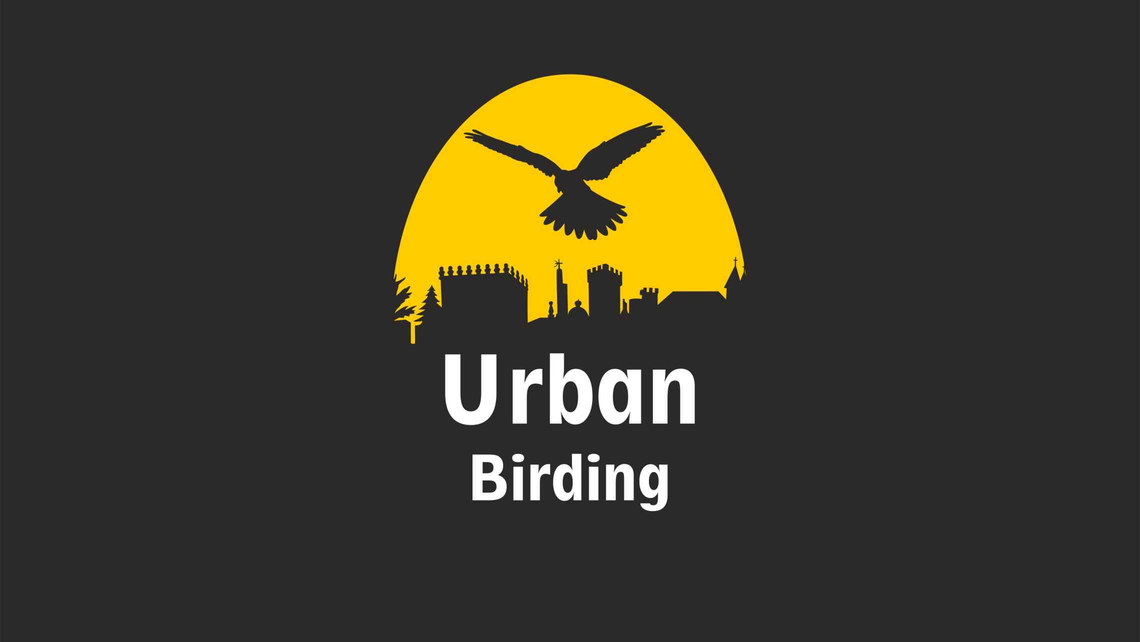 urban-birding-turismo